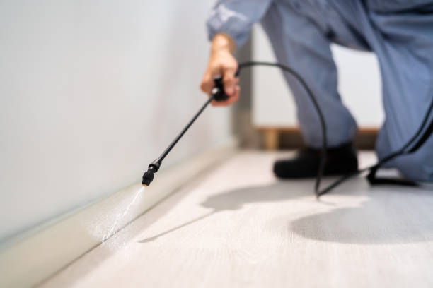 Certified termite inspector examining foundation in Berkley